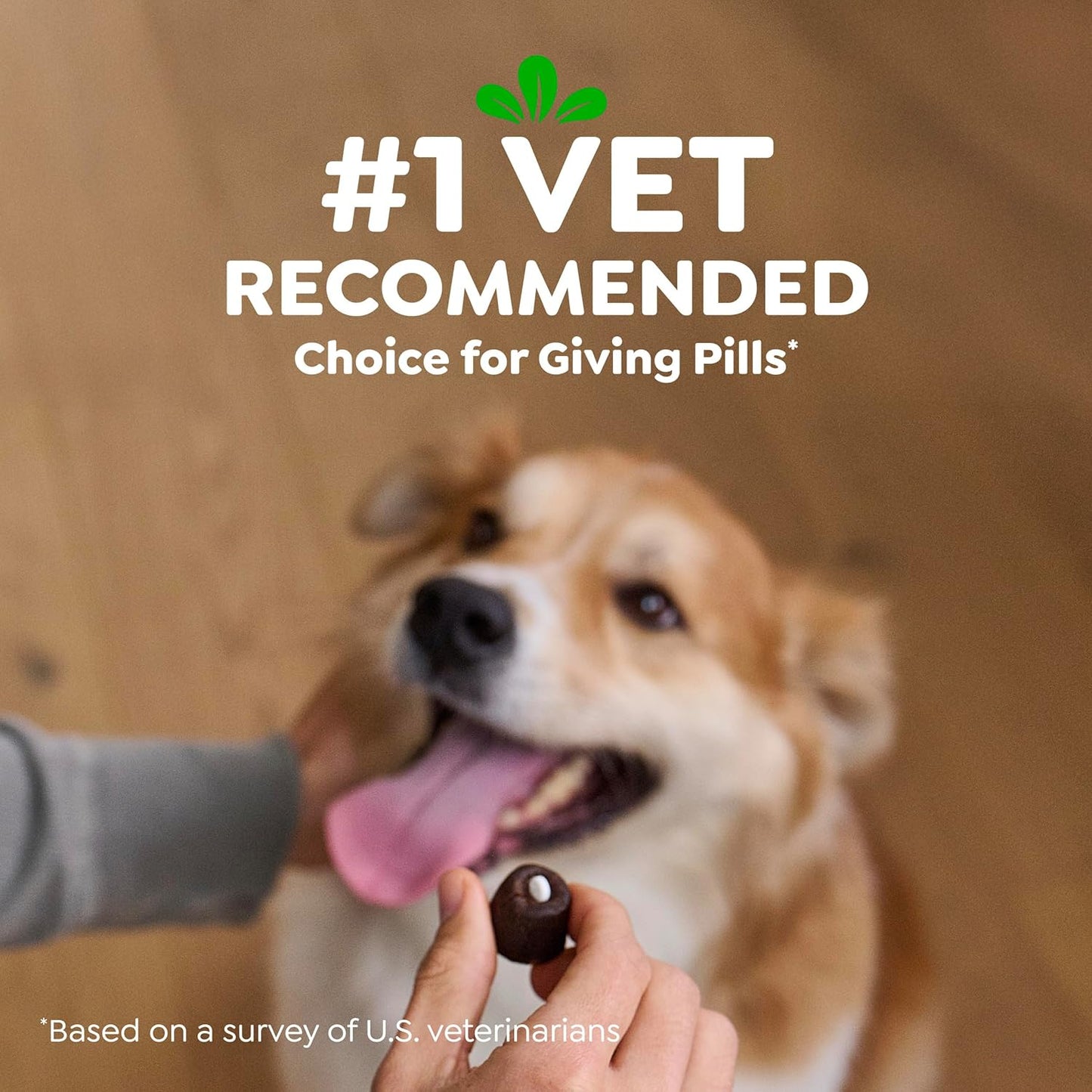 Greenies Pill Pockets for Dogs Large Size, Dog Treat Pouch for Capsule Medication, Variety Pack, 7.9 Oz. Pouch (Pack of 2)