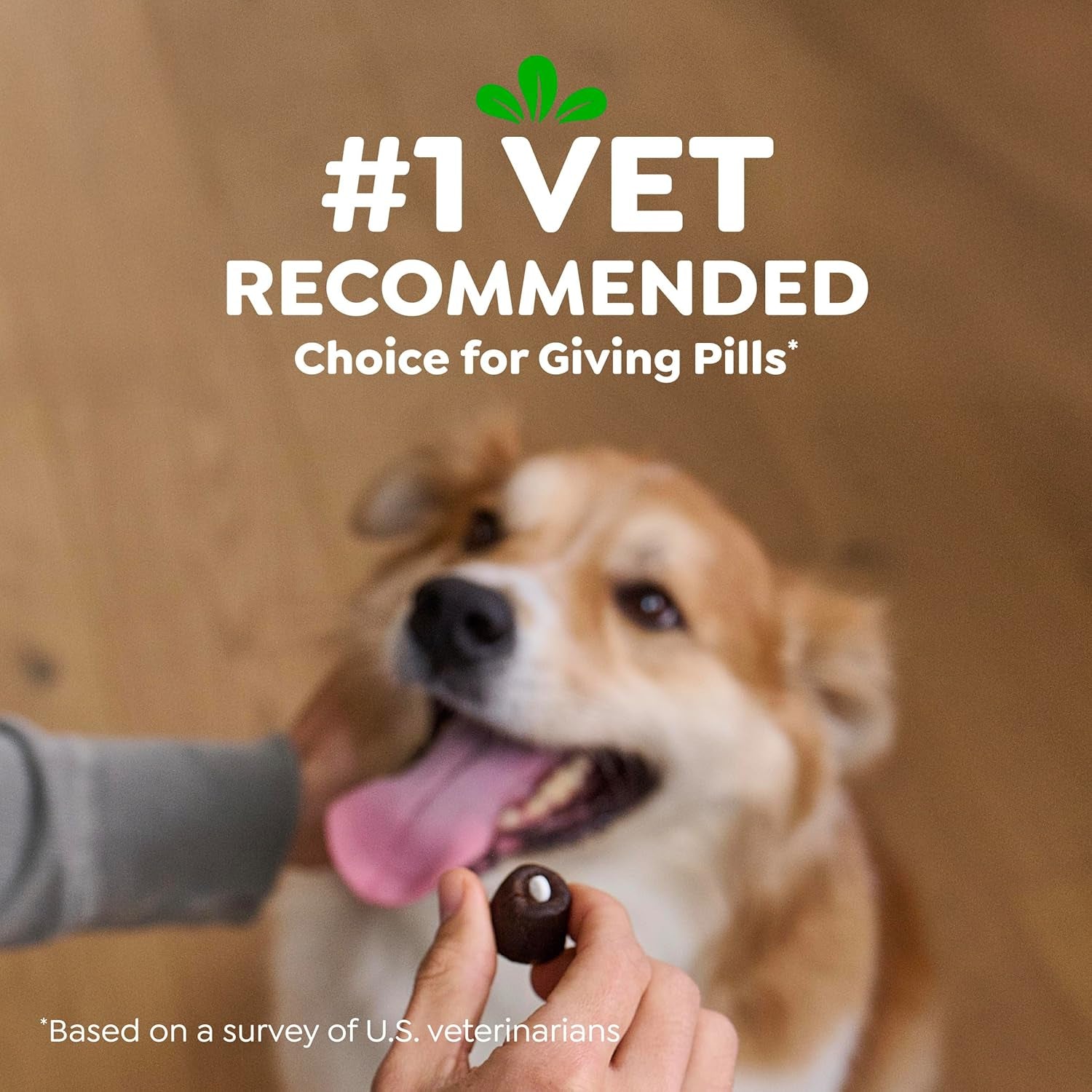 Greenies Pill Pockets for Dogs Large Size, Dog Treat Pouch for Capsule Medication, Variety Pack, 7.9 Oz. Pouch (Pack of 2)